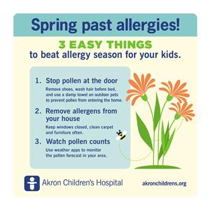 spring allergy